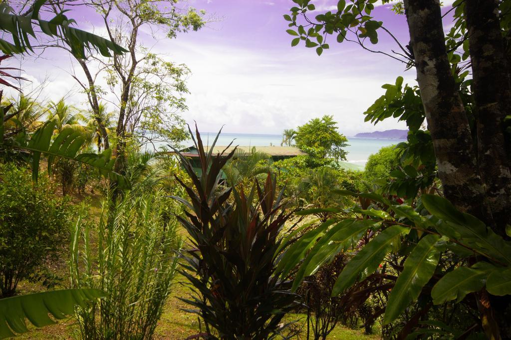 Hotel Rancho Corcovado Drake Bay Ngoại thất bức ảnh
