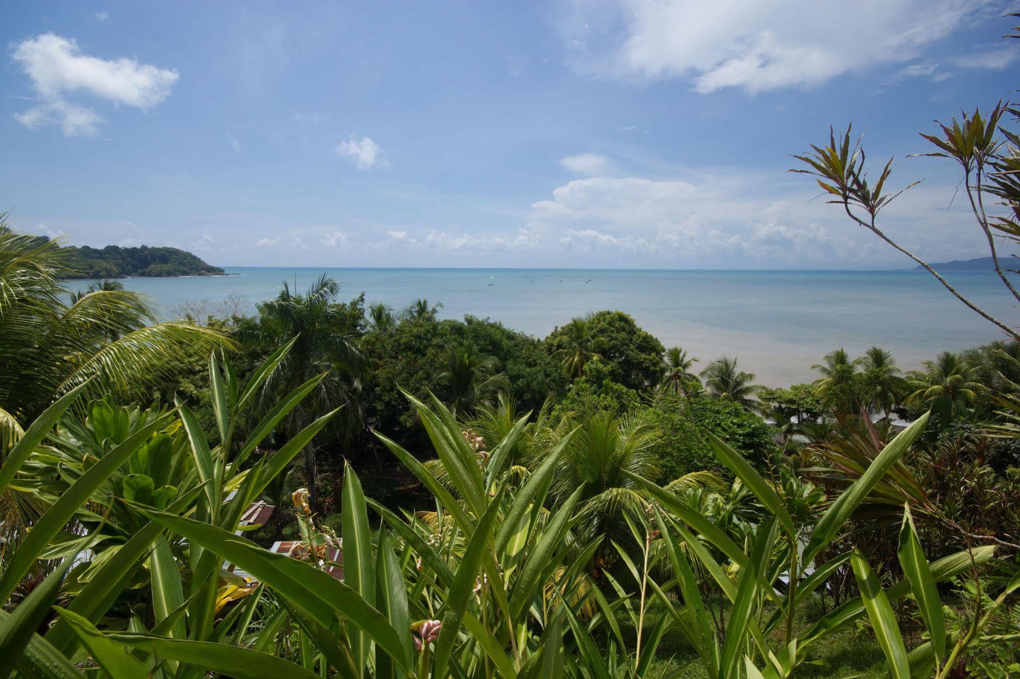 Hotel Rancho Corcovado Drake Bay Ngoại thất bức ảnh