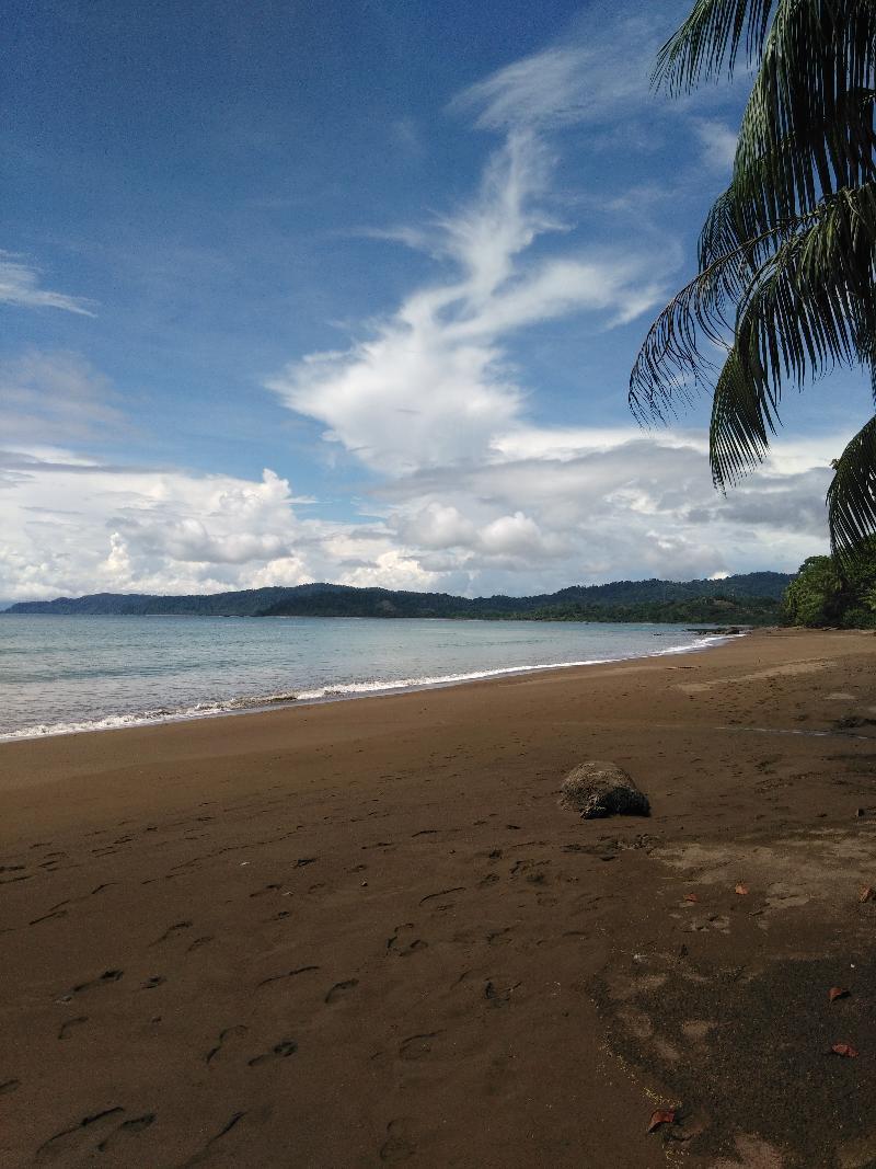 Hotel Rancho Corcovado Drake Bay Ngoại thất bức ảnh